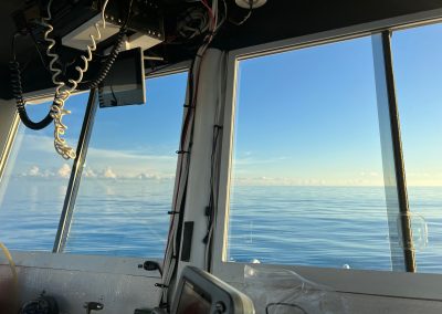 Lady Dana - Wheelhouse